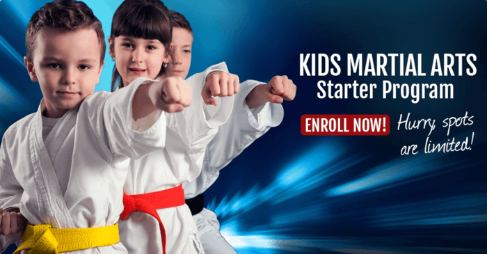 <center>Kids Martial Art New Year School Special<center>